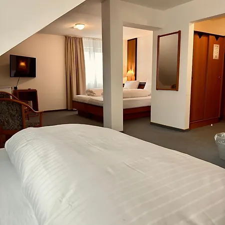 Hotel E&d Garibaldi 3*