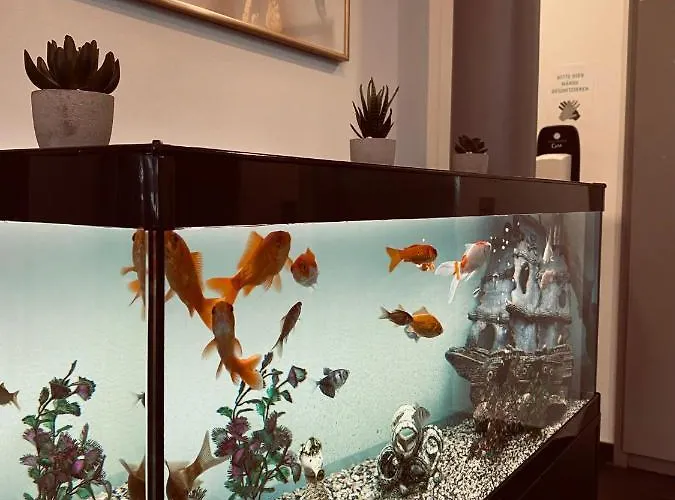 E&d Garibaldi Hotel 3*