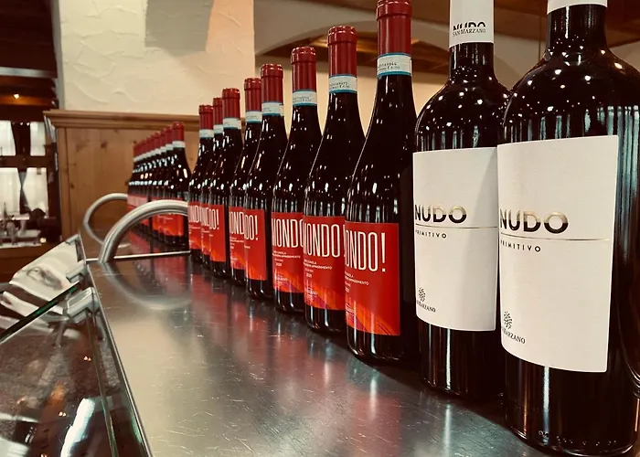 E&d Garibaldi 3* Rodgau